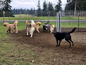 Pet boarding services Hyline Hotel For Dogs in Everson in WA