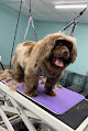 Pet boarding services I & R Puppy Spa in Utica in Licking