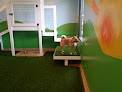 Pet boarding services I. B. Spoiled Doggy Daycare in Columbus in Franklin