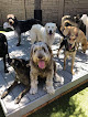 Pet boarding services Idaho Dog Park in Garden City in Idaho