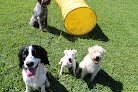 Pet boarding services Inner Outer Utopia Pet Care Llc in Stroudsburg in Pennsylvania