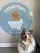 Pet boarding services Island Paws Spa & Boutique in Middletown in RI