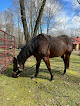 Pet boarding services Jackman Hollow Farm in Coventry in RI