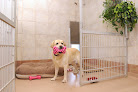 Pet boarding services Janry Pet Resort in Stewartsville in Warren
