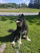 Pet boarding services Jays Pet Sitting,and Dog Walking in Parkman in Maine