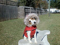Pet boarding services Jcm's Luxury Pet Resort in Covington in Louisiana