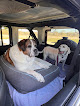 Pet boarding services Jin's Bed & Biscuits Pet Resort in New Braunfels in Comal