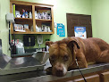 Pet boarding services Jones Veterinary Hospital in Andalusia in Alabama