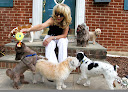 Pet boarding services Julie's Pooch Pad in Vienna in Virginia