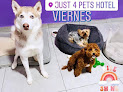 Pet boarding services Just 4 Pets Hotel in Guaynabo in Puerto Rico