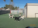 Pet boarding services Just Like Home Doggie Hotel And Grooming in Las Vegas in Nevada