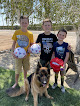 Pet boarding services K-9 Action Dog Training And Boarding in Reedley in California