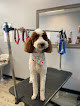 Pet boarding services K-9 Expressions Pet Salon in Lawrenceburg in KY