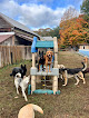 Pet boarding services K-9 Kidz, Llc in North Hartland in VT