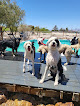 Pet boarding services K-9 Kountry in Las Vegas in Nevada