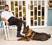 Pet boarding services K9 And More in Bayamón in Bayamón