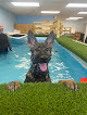 Pet boarding services K9 Bay Doggy Daycare And Aquatic Center in West Warwick in RI