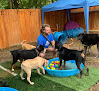 Pet boarding services K9 & Company Retreat in North Chesterfield in Virginia