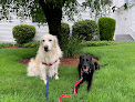 Pet boarding services K9 Instincts in Portsmouth in RI