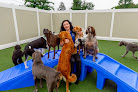 Pet boarding services K9 Resorts Luxury Pet Hotel Garden City in Westbury in Nassau