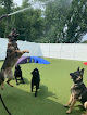 Pet boarding services K9 Resorts Luxury Pet Hotel Hamilton in Hamilton Township in Mercer