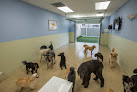 Pet boarding services K9 Resorts Luxury Pet Hotel Horsham in Horsham in Pennsylvania