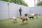 Pet boarding services K9 Resorts Luxury Pet Hotel Mount Pleasant in Mount Pleasant in South Carolina