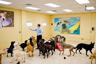 Pet boarding services K9 Resorts Luxury Pet Hotel Scotch Plains - Fanwood (original Location) in Fanwood in New Jersey