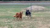 Pet boarding services Kamp K9 Pet Resort And Spa in Cabot in Arkansas