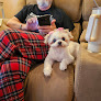 Pet boarding services Kamp Krazy Bones in Clanton in Alabama