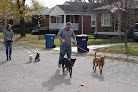 Pet boarding services Katy The K9 Keeper in Indianapolis in Indiana