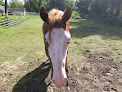 Pet boarding services Keekay in Port Allen in Louisiana