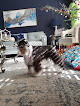Pet boarding services Ken Neill Kennels in Palmdale in California