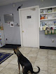Pet boarding services Kenhaven Animal Hospital in Rockville in Maryland