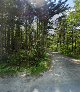 Pet boarding services Kennebec Kennel in Phippsburg in Maine