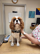 Pet boarding services Kennel Care Veterinary Hospital in Chandler in Chandler, AZ