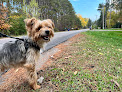 Pet boarding services Kennel Me Not in Elk River in MN
