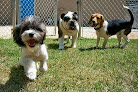 Pet boarding services Kennelina Pet Resort in Gastonia in North Carolina
