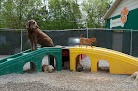 Pet boarding services Kentucky Humane Society Fern Creek Pet Resort in Louisville in Kentucky