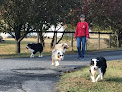 Pet boarding services Kep Doggie Dude Ranch & Farm in Hot Springs in Arkansas