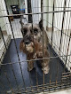 Pet boarding services Khaki Hound And Camo Kitty in Leavenworth in KS