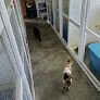 Pet boarding services Kitty Cat Hotel Eugene in Eugene in OR