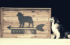 Pet boarding services Knotty Dog Boarding in Frazee in Minnesota