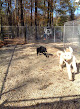 Pet boarding services Kokas Kennels Dog- Otel & Cattery in Westampton Township in Burlington