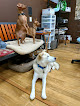 Pet boarding services Kona Doggie Daycare & Spa in Kailua-Kona in Hawaii