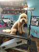Pet boarding services Kritter Kreations in Prattville in Alabama