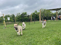 Pet boarding services Kt Dog Ranch And Kennel in Katy in Harris