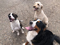 Pet boarding services La Dee Dogs in St Cloud in MN