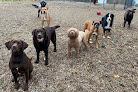 Pet boarding services Lake Farm Boarding Kennels in Orleans in MA