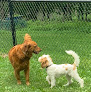 Pet boarding services Lake Shore Boarding, Llc in Lake Shore in MN